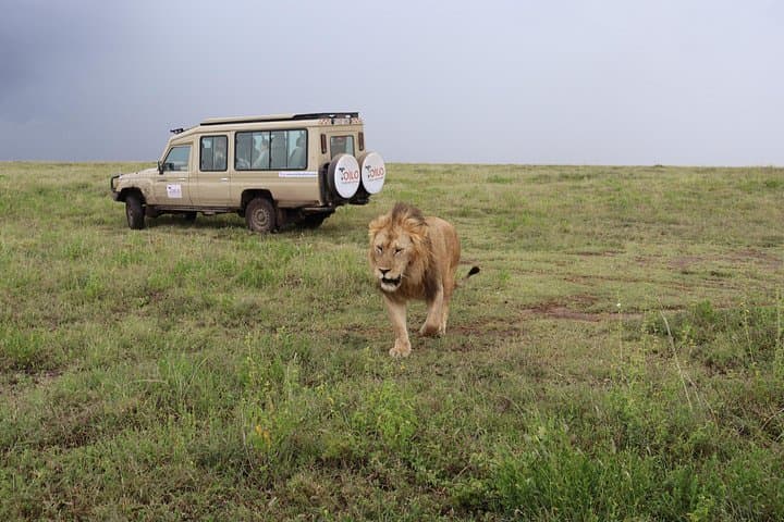 4-Day Camping Safari: Tarangire, Serengeti & Ngorongoro Crater photo 2