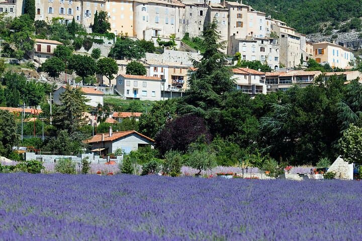 Gorge du Verdon Day Trip from Nice: Moustiers, Lac de Sainte-Croix & Electric Boat photo 4