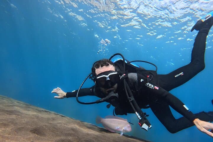 First-Time Scuba Dive in Tenerife: Guided Intro with Photos & Certified Instructors photo 3