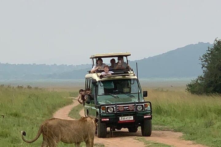 Kigali to Akagera National Park Day Safari — Wildlife, Lakes & Cultural Stops