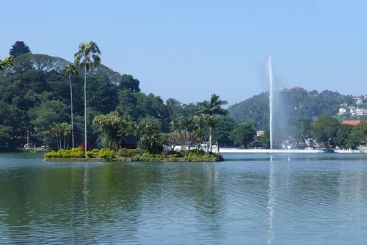 Kandy Day Tour from Galle: Temple of the Tooth, Peradeniya Gardens & Bahirawakanda photo 5