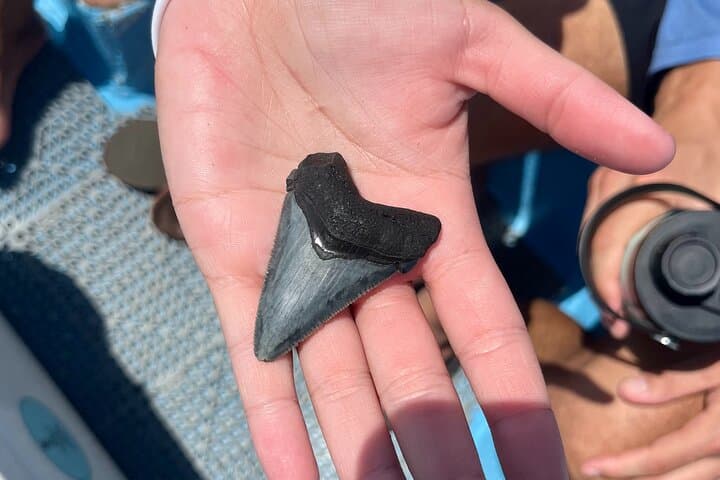 Folly Beach Fossil Hunting: Barrier Island Boat Drop-Off Excursion photo 3