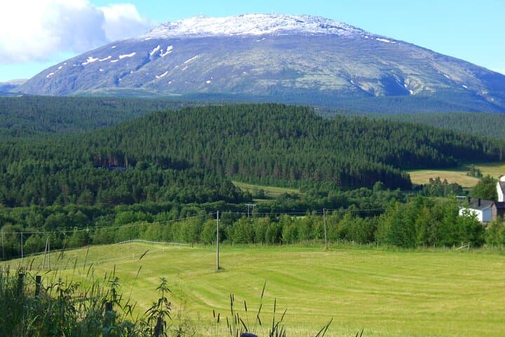 Tronfjell VIP Car Tour from Alvdal — Summit Views, Free Lunch & Pro Photos