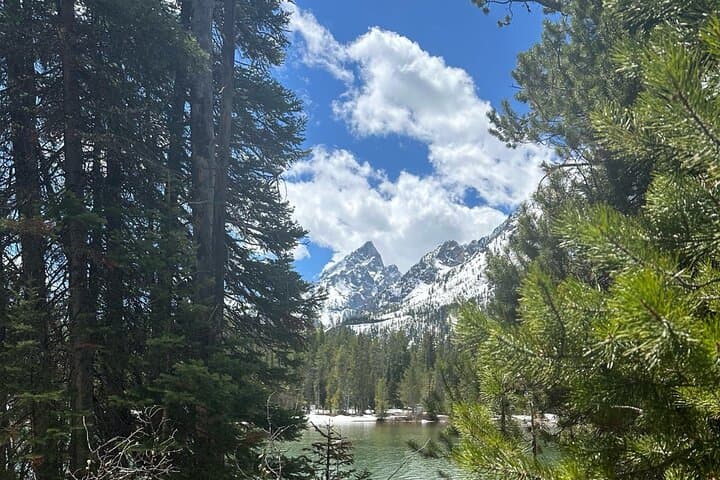 Private VIP Tour of Grand Teton National Park: Jackson Hole Day Tour photo 3