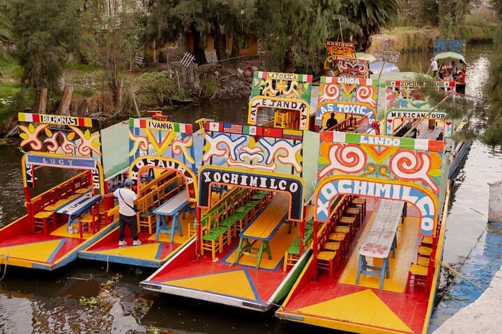 Xochimilco Canal Party: Trajinera Ride with Pickup from Condesa photo 3