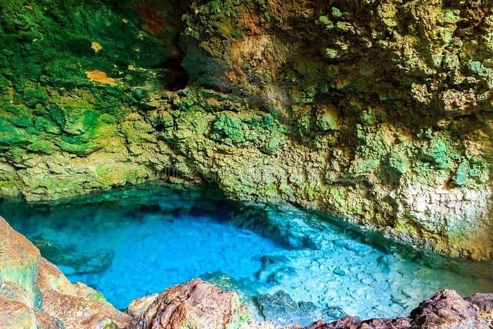 Jozani Forest, Kuza Cave & Paje Beach Private Tour — Monkeys, Caves and The Rock photo 3