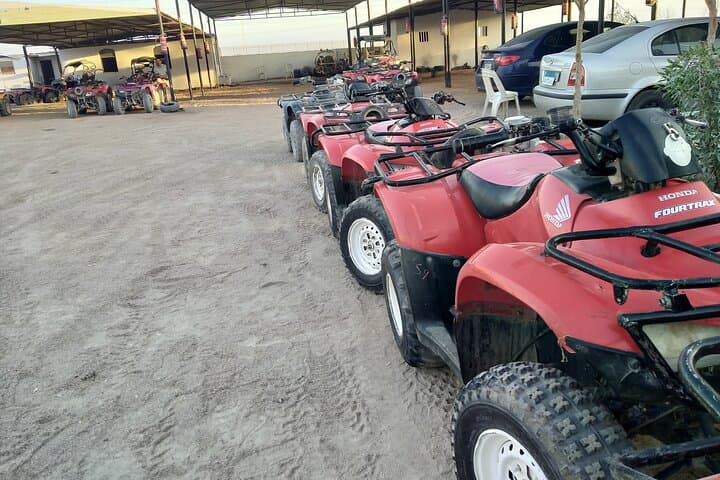 Sunset ATV Safari and Bedouin Dinner in Sharm El Sheikh photo 4