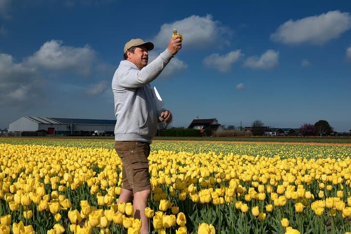 Keukenhof & Dutch Bulb Fields: Tulip Farm Visit + Windmill Cruise from Amsterdam photo 2