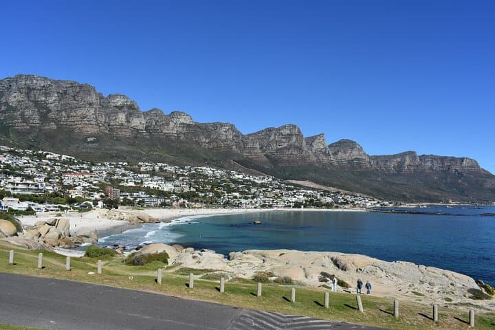 Scenic Private Tour of Cape Town: Table Mountain, Kirstenbosch & Groot Constantia photo 3