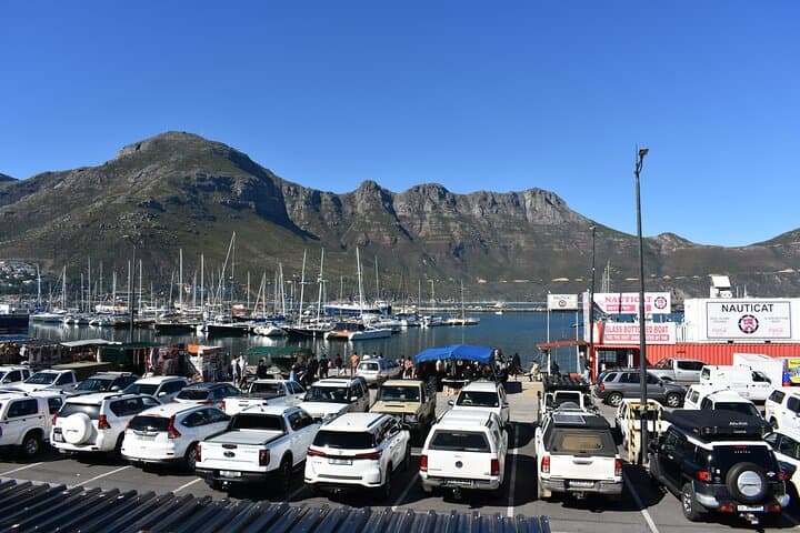 Scenic Private Tour of Cape Town: Table Mountain, Kirstenbosch & Groot Constantia photo 4