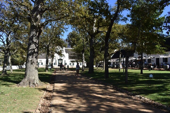 Scenic Private Tour of Cape Town: Table Mountain, Kirstenbosch & Groot Constantia photo 5