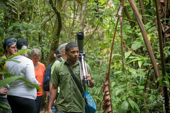 Tortuguero 3-Activity Wildlife Package: Canoe, Jungle Hike & Turtle Nesting photo 4