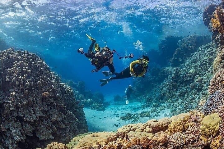 Antalya Scuba Diving & Snorkeling: Mediterranean Day Trip with Lunch photo 4