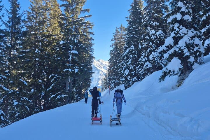 Sledding, Cheese Fondue & Chocolate Tasting on Grindelwald Slopes photo 4