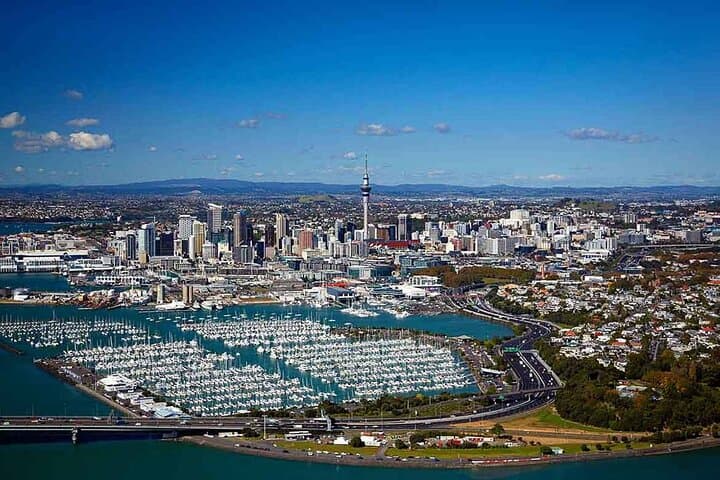 Half-Day Auckland City Tour: Harbour Views, Volcanic Crater & Kiwi Encounter photo 2