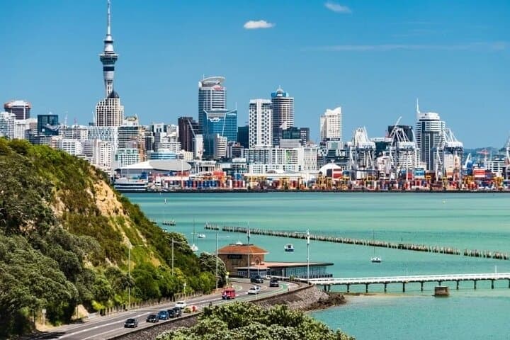 Half-Day Auckland City Tour: Harbour Views, Volcanic Crater & Kiwi Encounter
