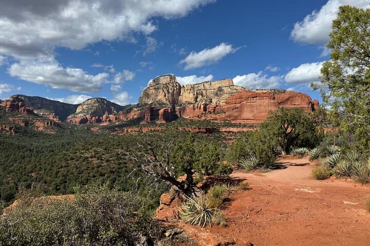 Sedona City Highlights Private Tour — Red Rock Views, Vortex Sites & Arts Village photo 3