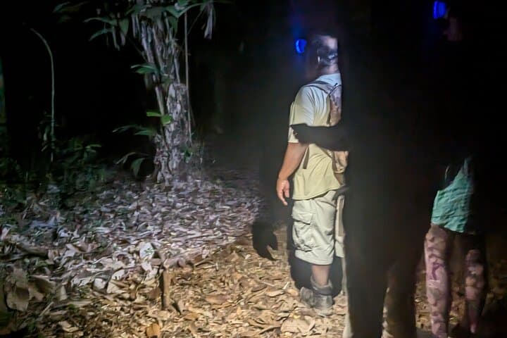 Night Hike in Cockscomb Basin Wildlife Sanctuary — Hopkins, Belize After Dark photo 2