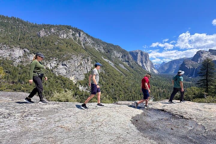 Ultimate Yosemite Private Tour: Iconic Sights, Sequoias & Picnic Lunch photo 3