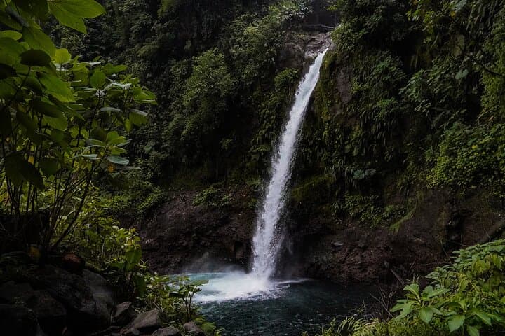 Poás Coffee Tour, La Paz Falls & Poás Volcano — Half-Day Highlands Adventure photo 4