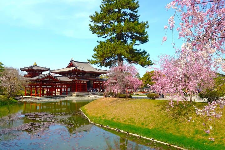 Slow Cycling Through Uji's Matcha Fields and Heritage photo 6