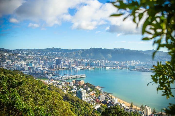 Wellington Half-Day Private Tour: Mount Victoria, Cable Car & Coastal Sights
