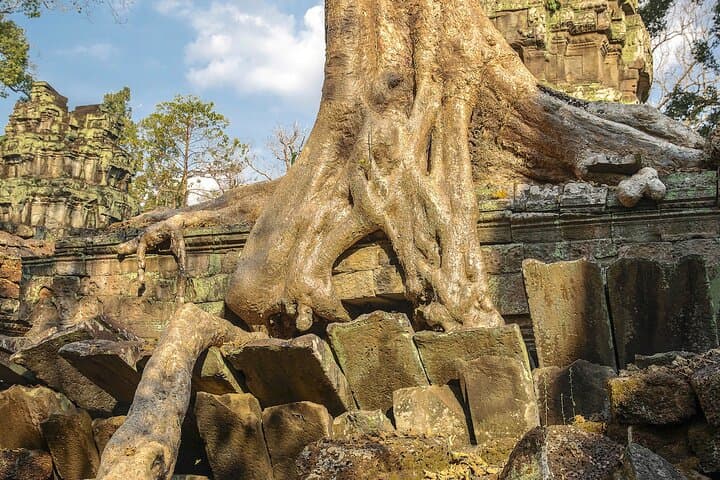 Sunrise and Sunset Angkor Adventure: 2-Day Temple Tour from Siem Reap photo 4
