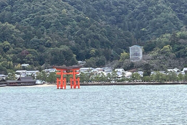 Half-Day Private Guided Tour to Miyajima: Explore Itsukushima Shrine & Free-Roaming Deer photo 3