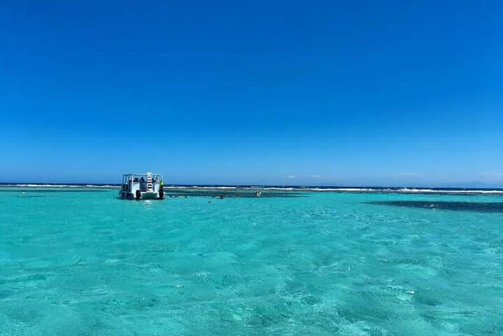Roatán Monkey & Sloth Park, Barrier Reef Snorkel and Private Cay Beach Break photo 5