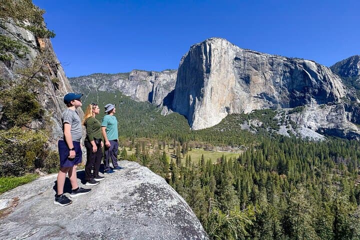 Ultimate Yosemite Private Tour: Iconic Sights, Sequoias & Picnic Lunch photo 2