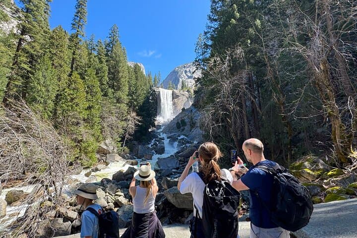 Ultimate Yosemite Private Tour: Iconic Sights, Sequoias & Picnic Lunch photo 4