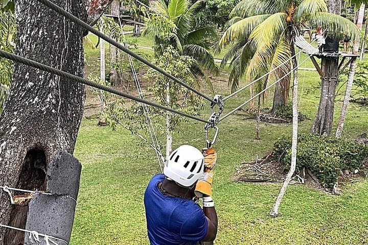 Zipline and Dunn's River Falls Combo: Montego Bay Day Trip to Ocho Rios photo 2