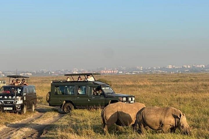 Explore Nairobi National Park and Wildlife Sanctuaries: A Day Trip from Nairobi photo 3