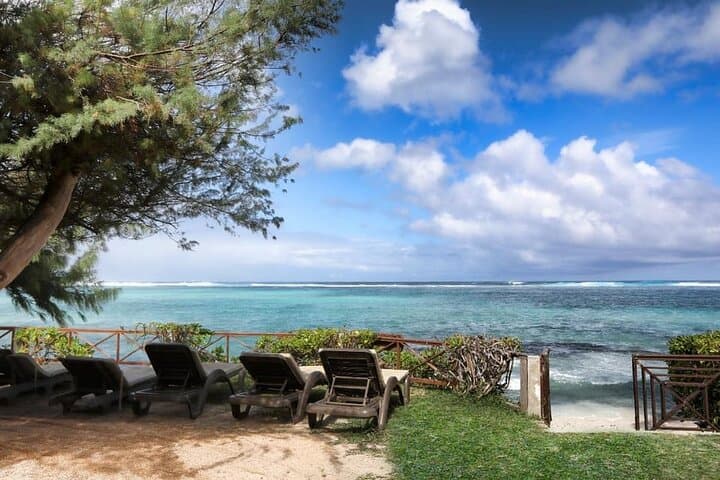 Blue Bay Eco Tour: Coral-Protection Snorkeling and Conservation in Mauritius photo 4