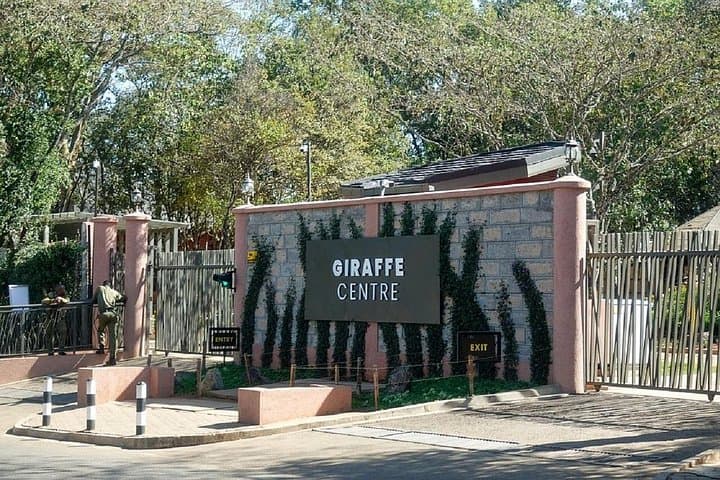 Explore Nairobi National Park and Wildlife Sanctuaries: A Day Trip from Nairobi photo 4