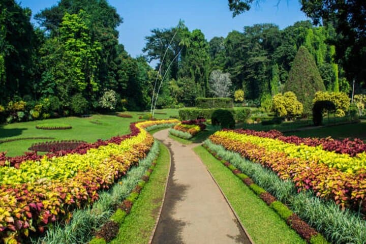 Sri Lanka Discovery: 5-Day Private Tour of Kandy, Bentota & Colombo photo 4