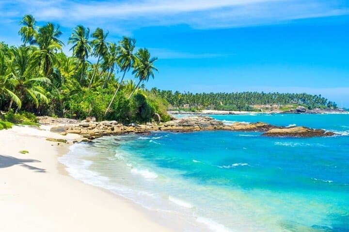 Sri Lanka Discovery: 5-Day Private Tour of Kandy, Bentota & Colombo photo 5