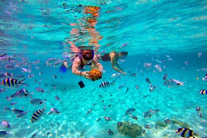 Private Mauritius Lagoon Charter: Snorkel, Island BBQ & Sandbanks