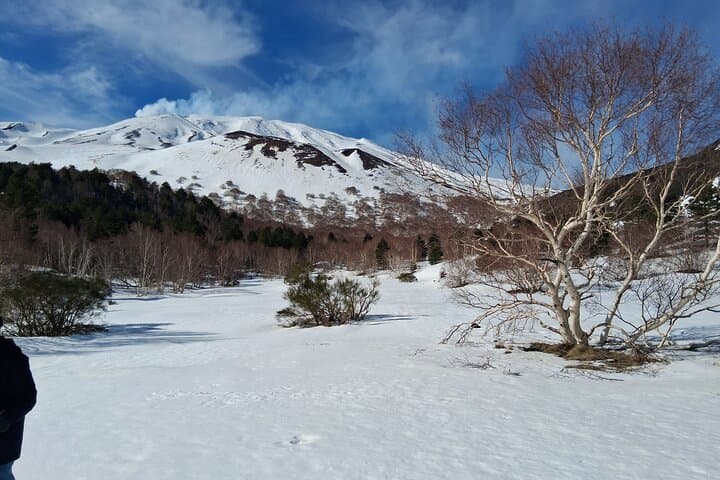 Mount Etna North-Side Lava Walk & Winery Tasting: Hike, Grotta dei Ladri, and Wine photo 3