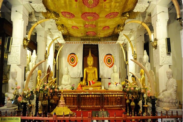 Sri Lanka Discovery: 5-Day Private Tour of Kandy, Bentota & Colombo photo 3