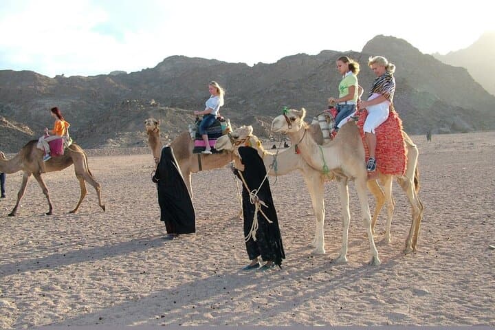 Hurghada Desert Jeep, ATV & Camel Safari with Bedouin Dinner and Show photo 5