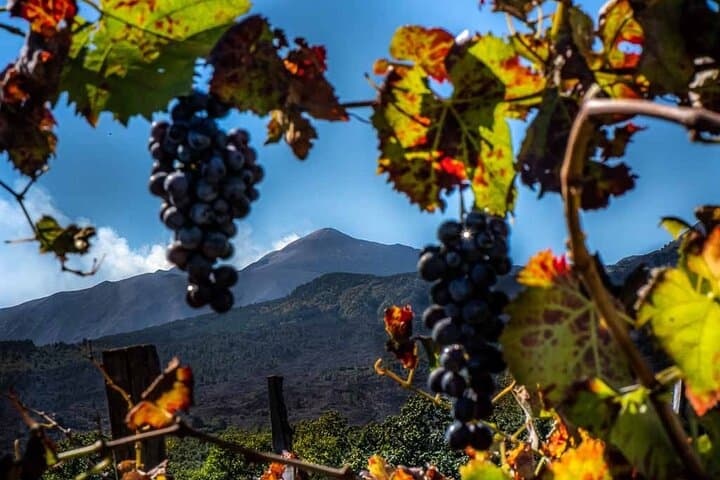 Mount Etna North-Side Lava Walk & Winery Tasting: Hike, Grotta dei Ladri, and Wine photo 1