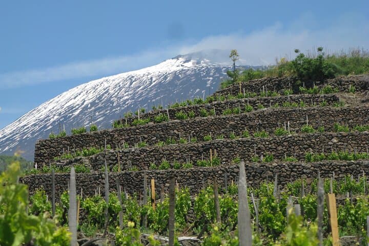 Mount Etna North-Side Lava Walk & Winery Tasting: Hike, Grotta dei Ladri, and Wine photo 2