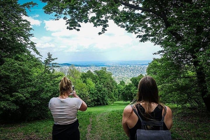 Panoramic Hike Around Budapest: Elizabeth Lookout, Hárs-hegy & Fairy Rock photo 5