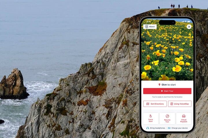 Bodega Head Self-Guided Audio Walk: Cliff Views, Whales & Tidepools photo 2