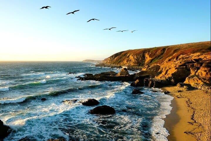 Bodega Head Self-Guided Audio Walk: Cliff Views, Whales & Tidepools