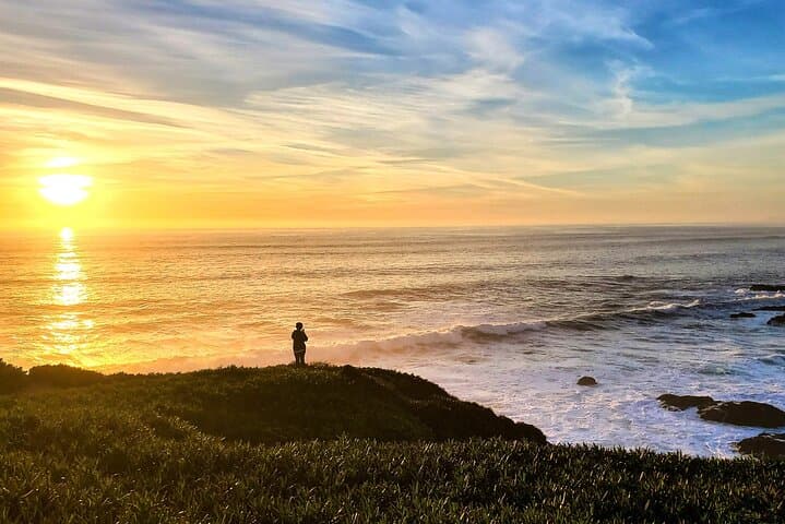 Bodega Head Self-Guided Audio Walk: Cliff Views, Whales & Tidepools photo 4