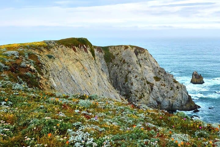 Bodega Head Self-Guided Audio Walk: Cliff Views, Whales & Tidepools photo 3
