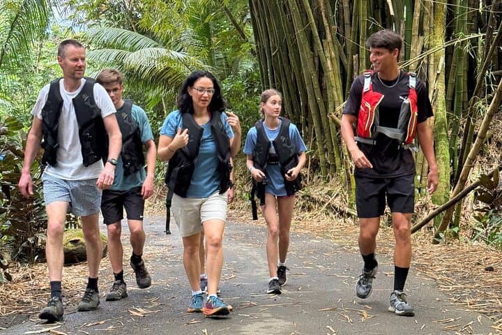 El Yunque Half-Day Adventure: Waterslide, Rope Swing & Secret Pools photo 6