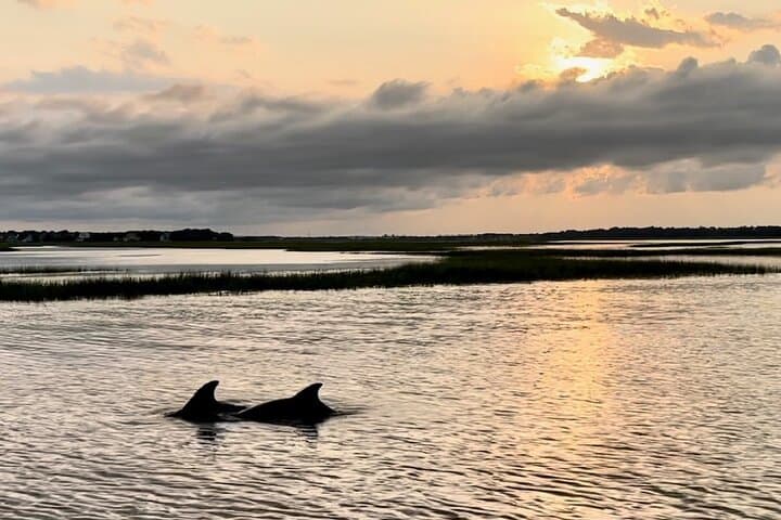 Sunset Dolphin Cruise on Folly River — Morris Island Lighthouse & Salt Marsh Wildlife